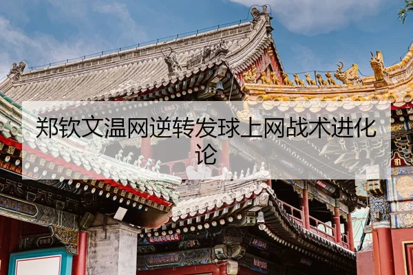 zheng-qin-wen-wen-wang-ni-zhuan-fa-qiu-shang-wang-zhan-shu-jin-hua-lun-2-838.jpg